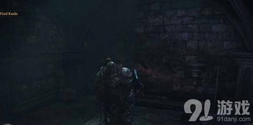 《堕落之王》首部DLC明年1月上市！第二部DLC同步曝光！