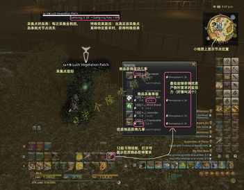 《FF14战士职业攻略：水晶世界新手必看技巧》