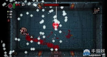 《以撒胎衣道具全解析》