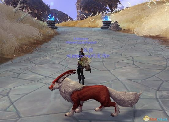 《魔兽世界》天爪狐龙宠物小吠获取攻略揭秘