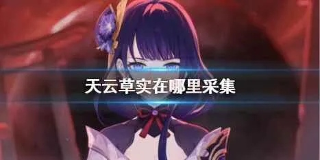 《原神》4.3天云草实高效采集攻略，隐藏路线曝光！