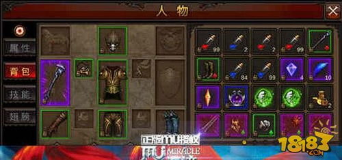 《苏丹游戏攻略：新手必看玩法揭秘》