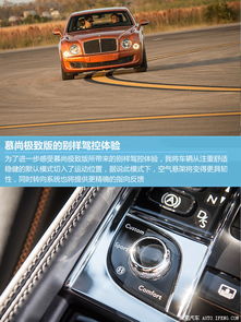 十大精选必玩汽车模拟，体验极致驾驶新境界
