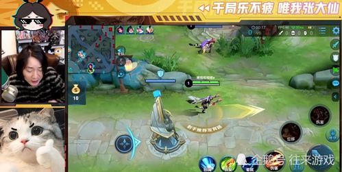 婆雅稚挑战攻略：猴子轻松通关秘籍大揭秘