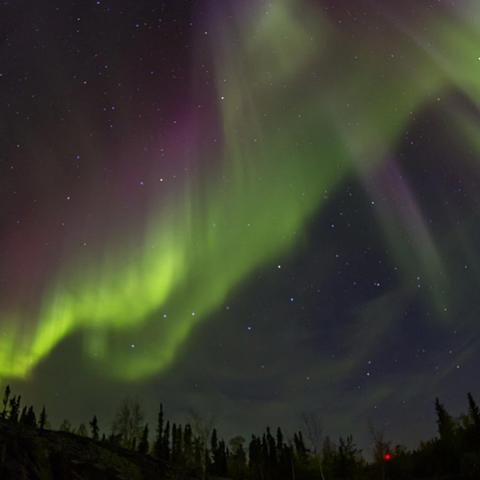 精选好评原声音轨，畅玩音效盛宴游戏推荐