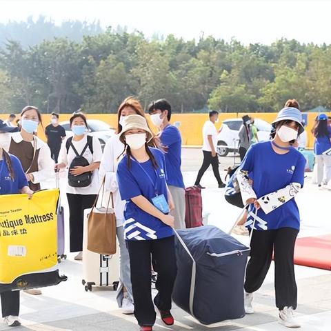 逐光启航攻略秘籍：同人精选深度解析