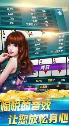 十大热门耐玩成人游戏盘点，揭秘精选魅力体验