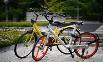 十大自行车游戏盘点：揭秘骑行巅峰之作，体验极致速度新境界