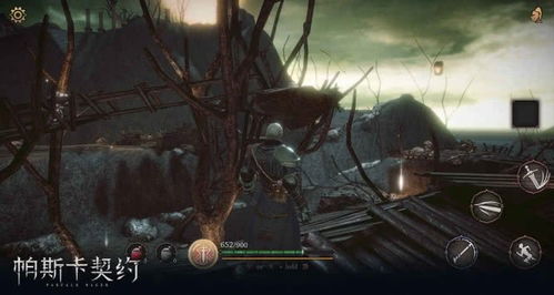 禁断秘境探秘，帕斯卡契约：四禁通心奇遇记