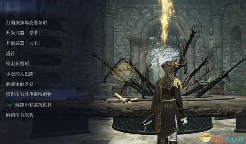 《艾尔登法环女爵攻略：掌握技巧，轻松君临黑夜》