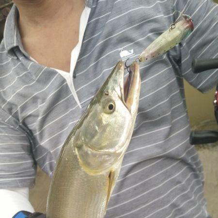 梦魇速刷心魔流：恶魔秘境极限挑战新纪元