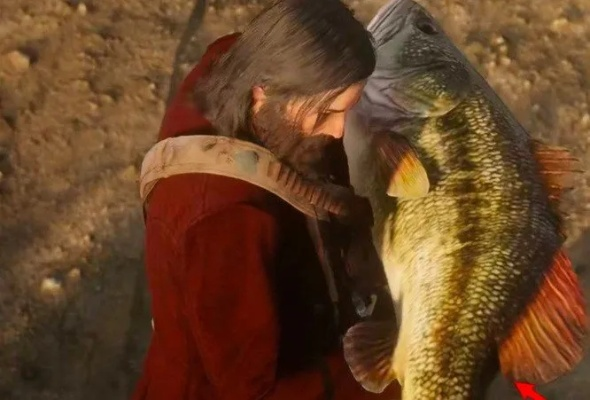 《荒野猎人》五大钓鱼绝招！钓起荒野巨鱼攻略分享