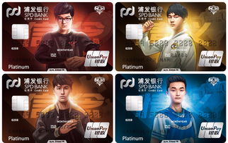 最新团队竞技巅峰，盘点十大热门合作游戏推荐