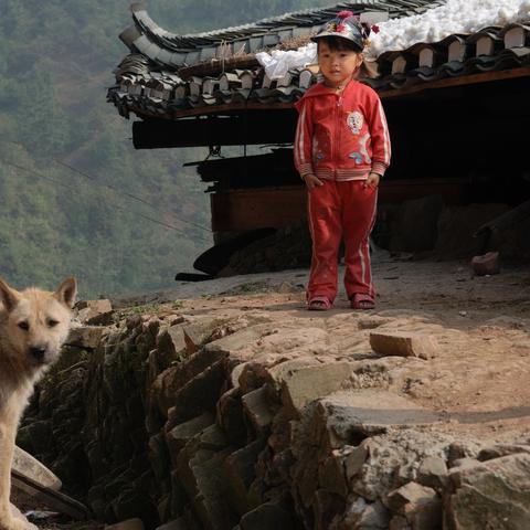 《看门狗》重生：科技守护者再战都市风云