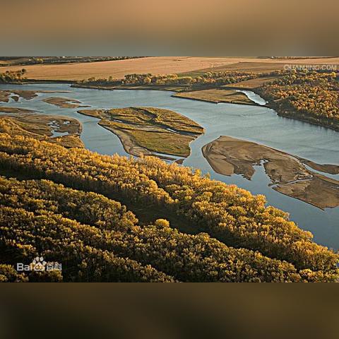 《荒野猎人》探险攻略：深度调查任务揭秘！