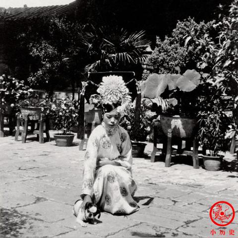 热门宠物游戏盘点：下载量飙升，十大热门排行揭晓！