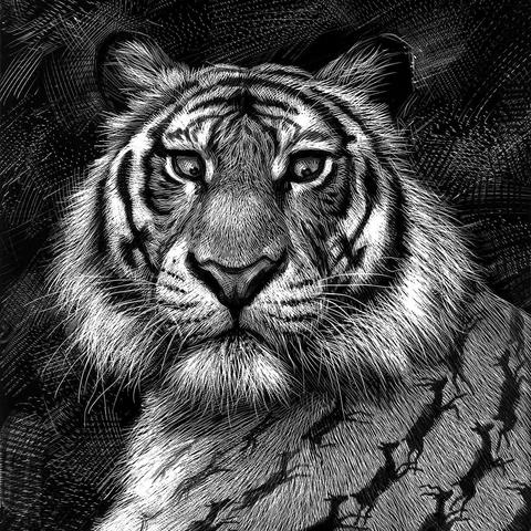 动物森林零氪通关秘籍：轻松解锁全新游戏价值