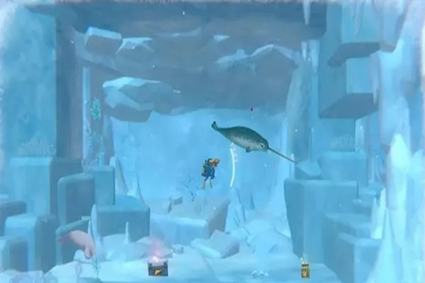 《戴夫潜水探秘：揭秘白鲸哨子的神秘获取途径》