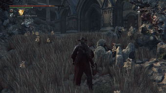 《霍格沃茨之遗》种植流液草攻略：高效培育指南