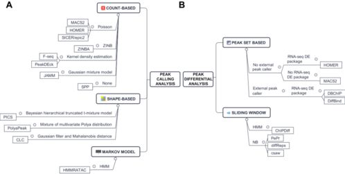 《秋后季节》攻略：全剧情流程深度解析