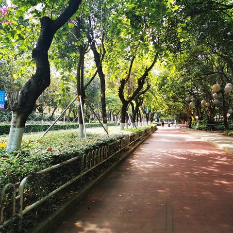 热门自行车游戏盘点：揭秘人气飙升的骑行乐趣