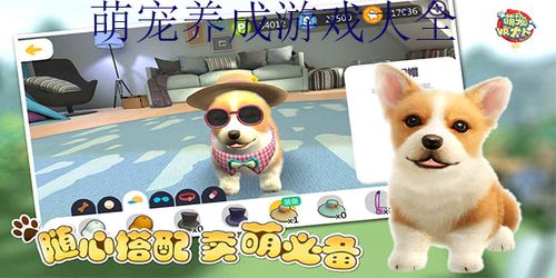 猫游戏盘点：十大热门猫咪游戏推荐，趣味无限！