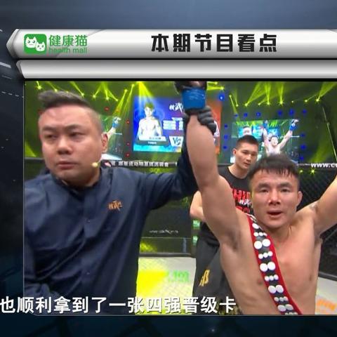 格斗游戏盘点：揭秘最佳体验，趣味推荐大公开