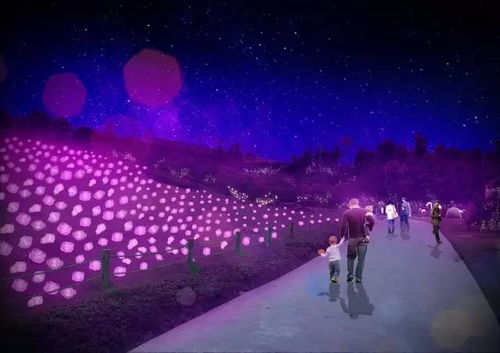 《心动小镇》独家揭秘：捕捉彗星飞蛾的神秘地点！