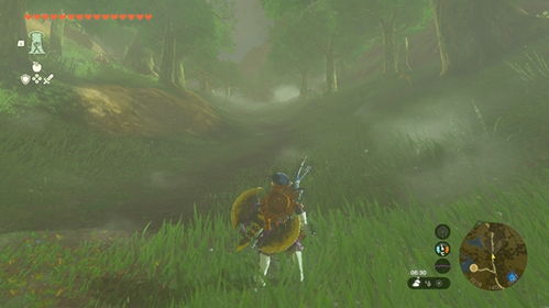 《塞尔达传说》深穴洞口全揭秘！树根宝藏速寻攻略