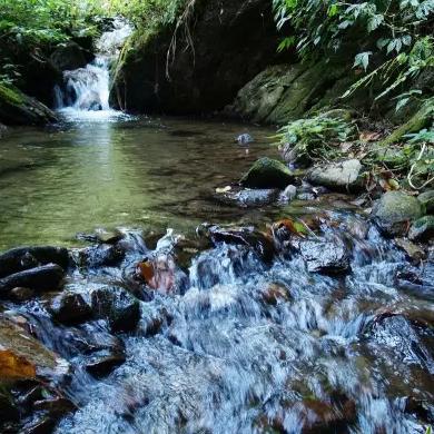 狂野之心:轻松解锁光石秘籍,快速获取攻略! 狂野之心:轻松解锁光石秘籍,快速获取攻略!