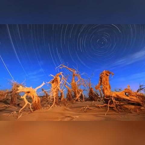 十大经典耐玩战争游戏，揭秘永恒魅力排行榜