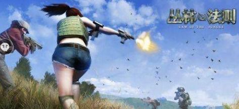 热门大逃杀游戏盘点：揭秘最佳人气玩法推荐