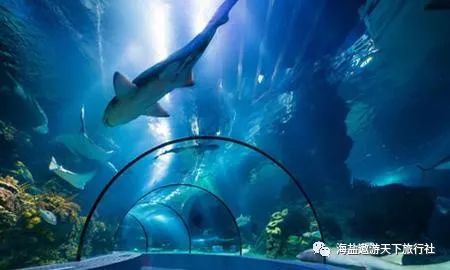 畅游深海秘境：盘点热门水底游戏，尽享沉浸新体验