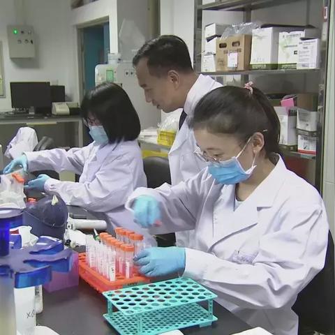 最新策略游戏盘点：探索好玩新体验