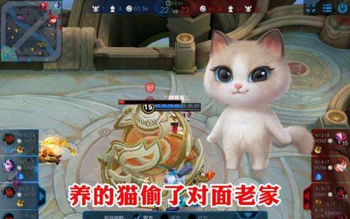 热门猫游戏盘点：下载量飙升的猫类游戏推荐大揭秘