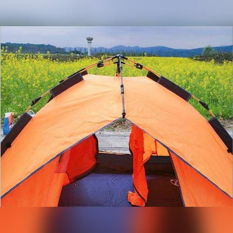 极地探险科幻冒险：南极计划新篇章