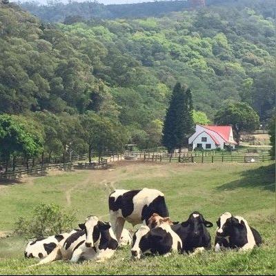 热门童玩盘点：揭秘十大孩童游戏排行新风向