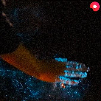 梦幻模拟战航海攻略：新手必看，大航海新奇体验全解析