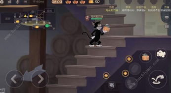 动物森林新手攻略：三鼠开局必备技巧解析