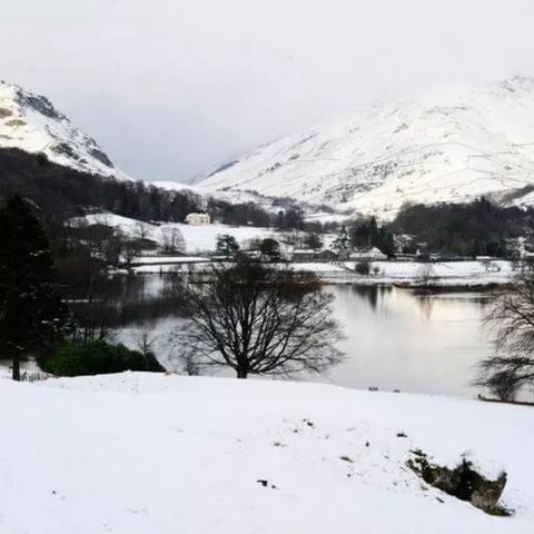 花藕荆棘女王揭秘：牧羊人之心新篇章深度解析