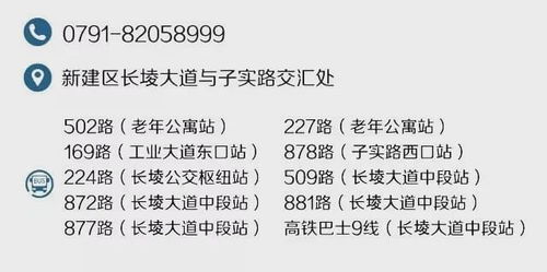 十大热门精心编撰游戏盘点，揭秘人气巅峰之作