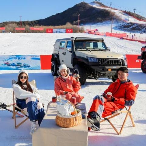 纸牌游戏盘点：热门排行揭秘，玩转指尖新乐趣