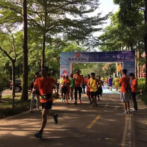 热门收藏马拉松游戏盘点：人气精选攻略推荐