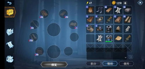 冰原守卫者攻略：深度解析隐秘地牢通关秘籍