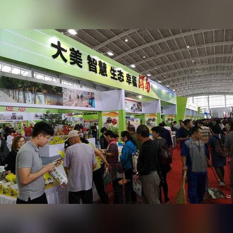 十大风格化游戏盘点：揭秘人气巅峰之作新价值