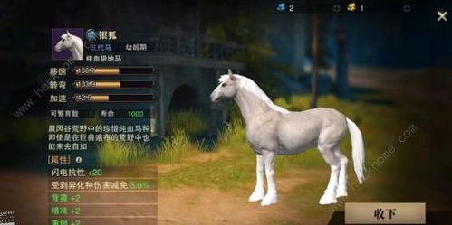 十大热门马匹游戏盘点：揭秘必玩马战巅峰之作