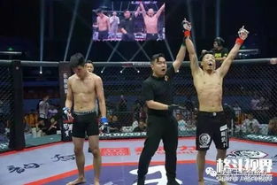 《第五人格》Mitaka：雄鹰翱翔，揭秘选手巅峰之路