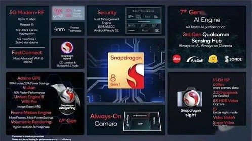 2024年度热门文字游戏盘点：深度解析游戏魅力新风向