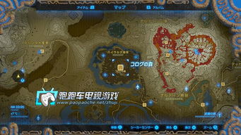 《塞尔达传说》大师剑攻略：揭秘获取大师剑的独家秘籍