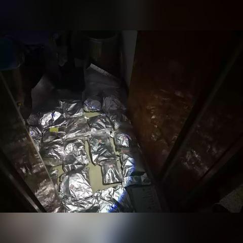 热门丧尸游戏盘点：下载量飙升的惊悚排行大揭秘